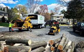 How Our Tree Care Process Works  in  Hagerstown, IN