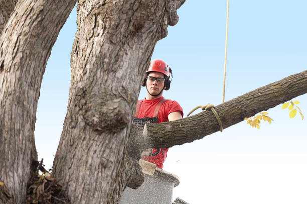 Mulching Services in Hagerstown, IN